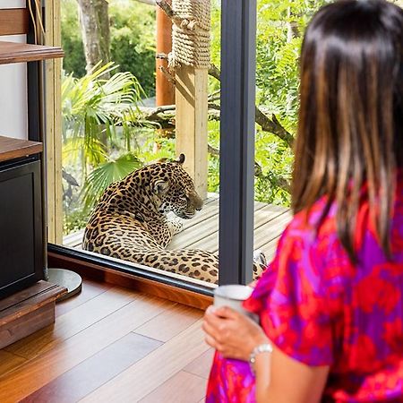 Parrot World - Les Lodges Crecy-la-Chapelle Εξωτερικό φωτογραφία