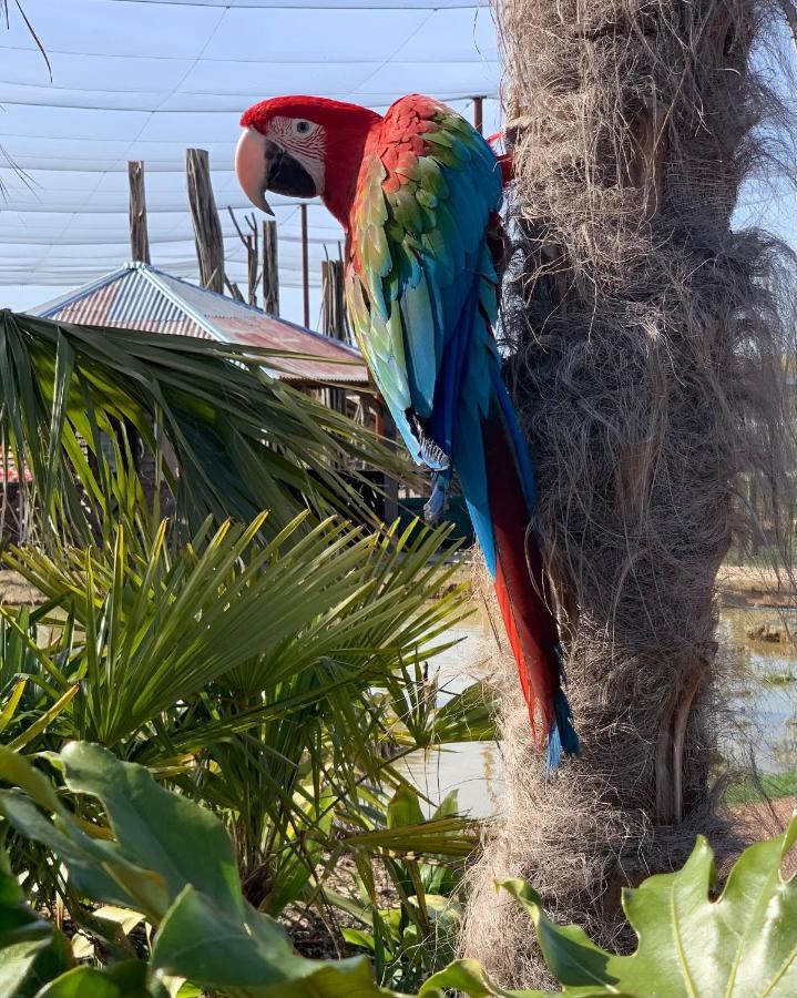 Parrot World - Les Lodges Crecy-la-Chapelle Εξωτερικό φωτογραφία