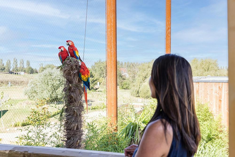 Parrot World - Les Lodges Crecy-la-Chapelle Εξωτερικό φωτογραφία