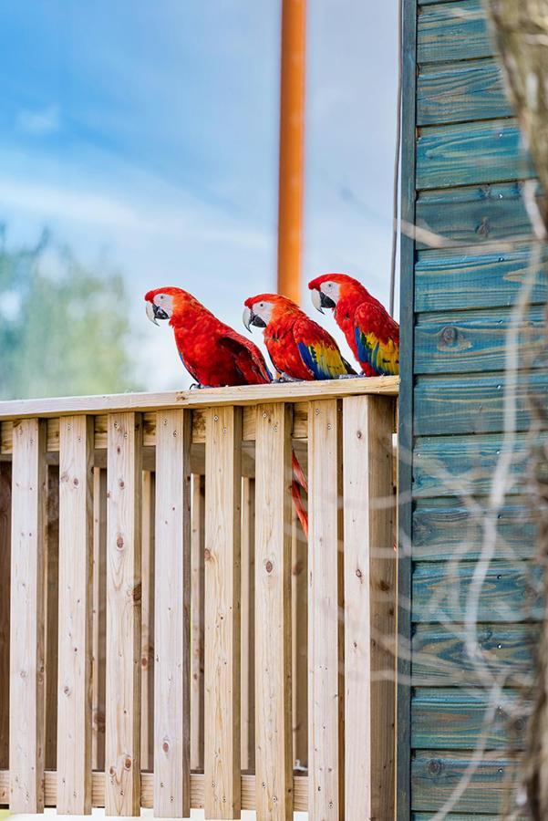 Parrot World - Les Lodges Crecy-la-Chapelle Εξωτερικό φωτογραφία